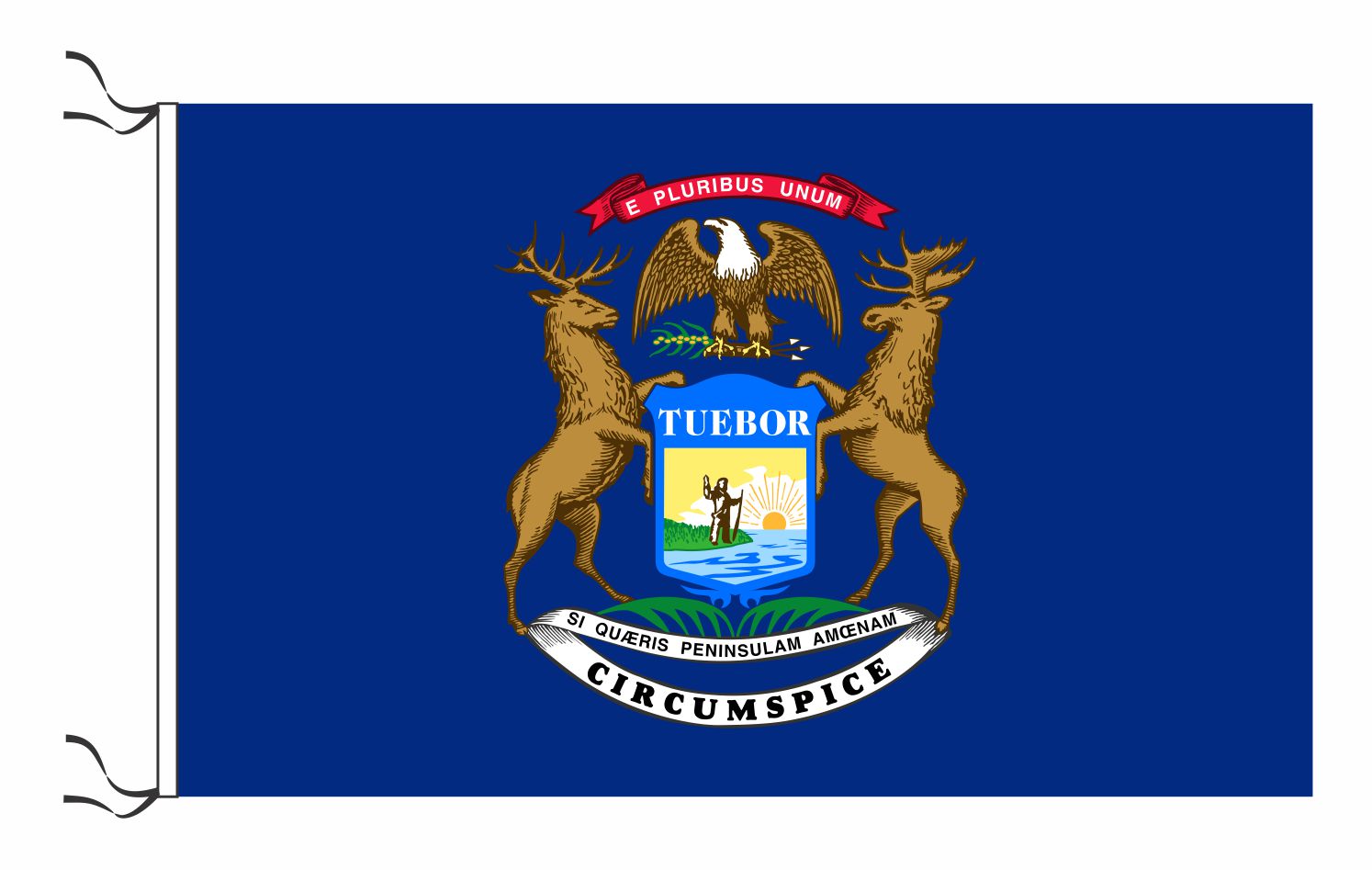 Michigan medida 250 x 140 cm Art: 44635